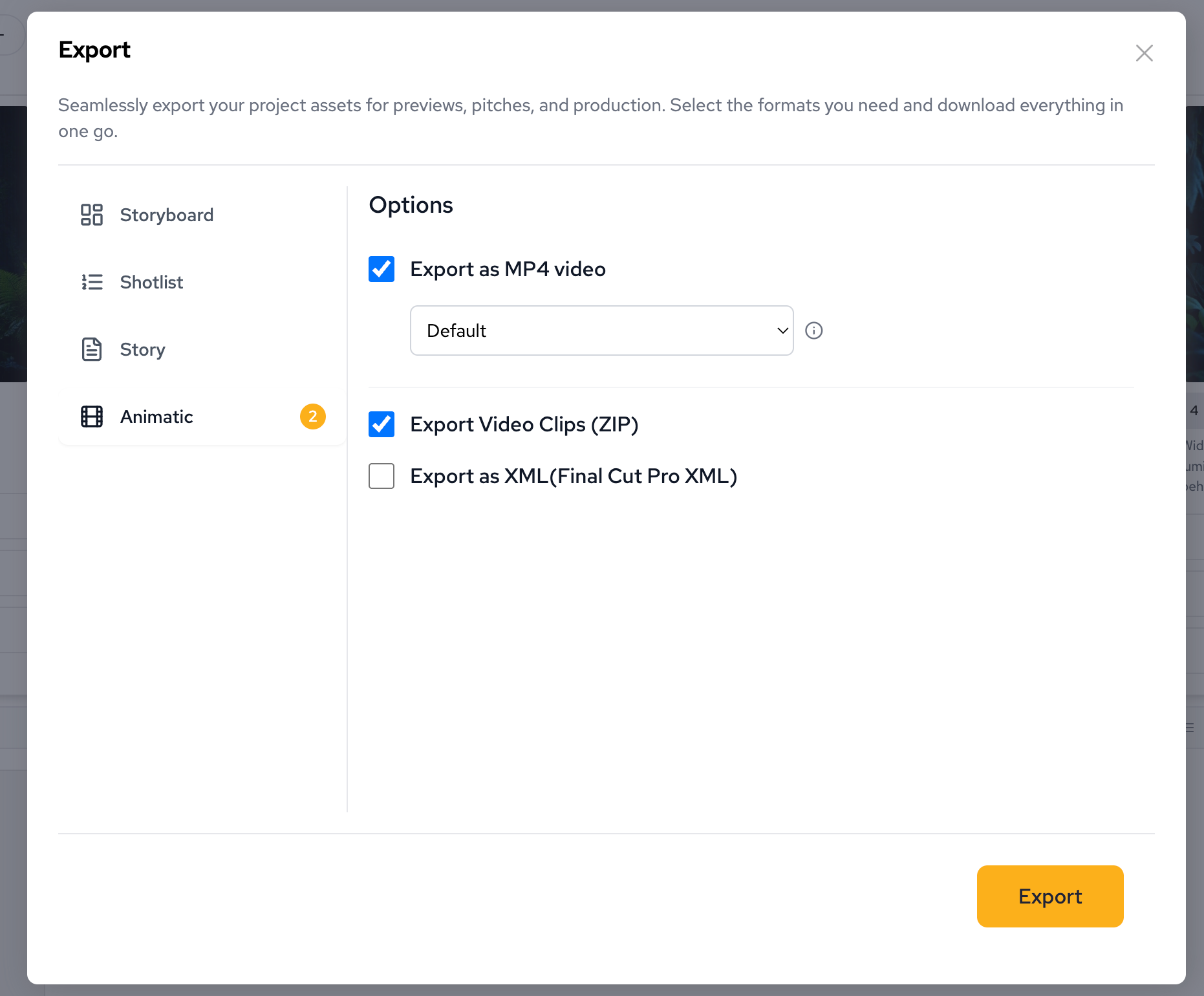 Export options interface for various storyboard output formats