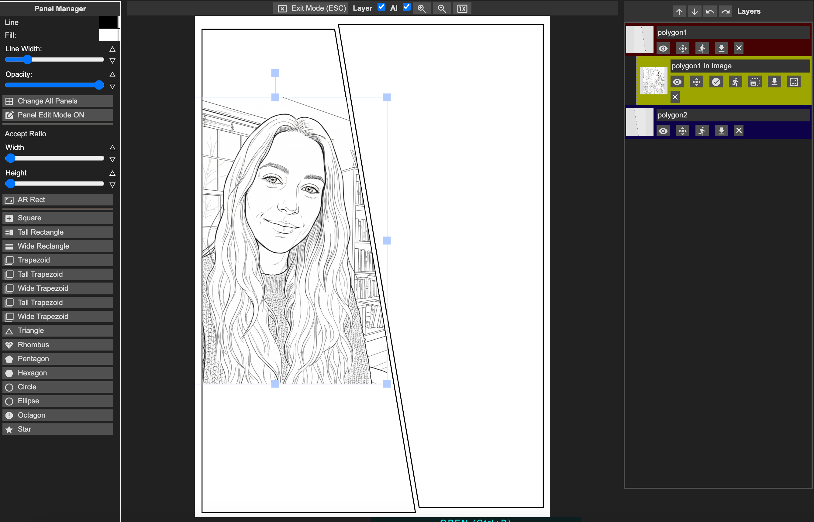 Professional Panel Manager